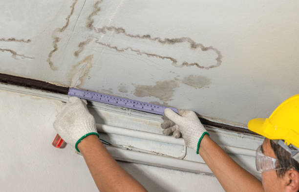 Reliable Flood Cleanup contractor in Greenville, IL by Water Damage Irwin
